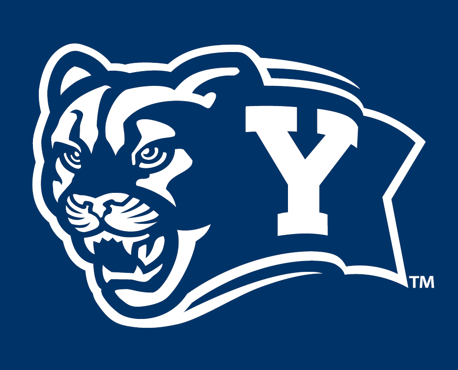 Brigham Young Cougars 2005-Pres Alternate Logo v7 diy fabric transfer